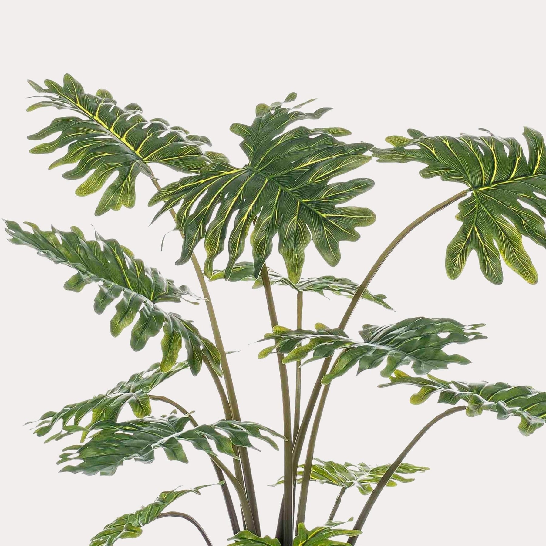 Kunstplant Philodendron 80 cm