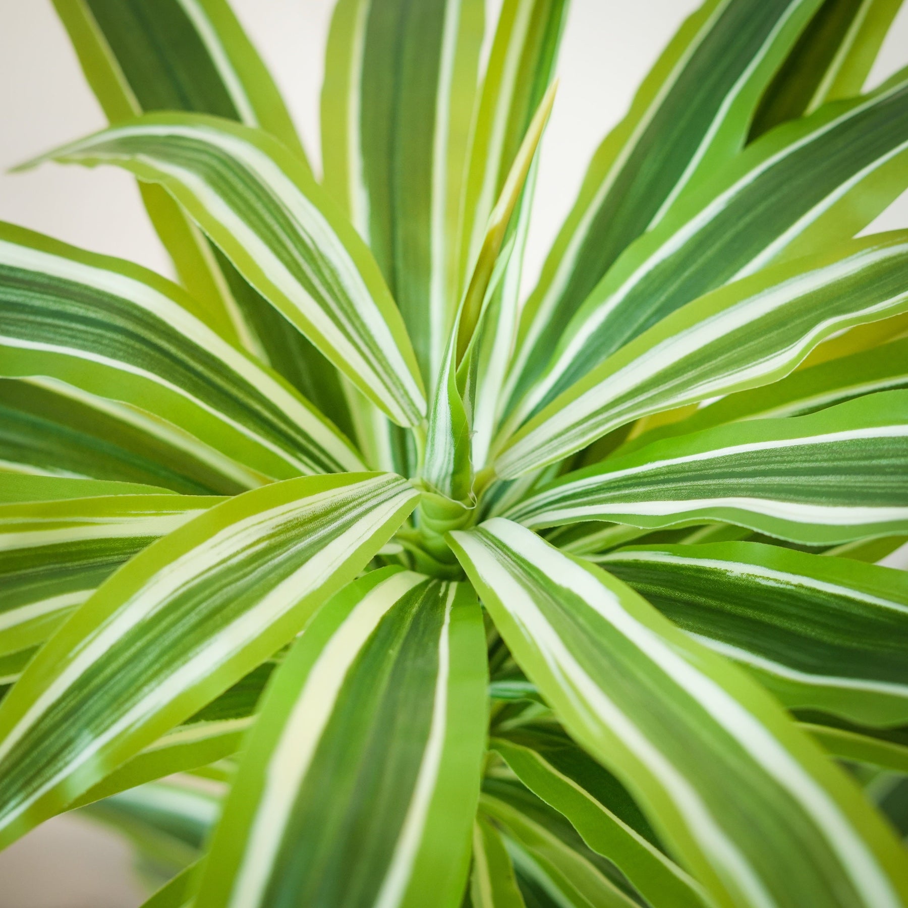 Kunstplant Yucca 140 cm - Robuuste uitstraling